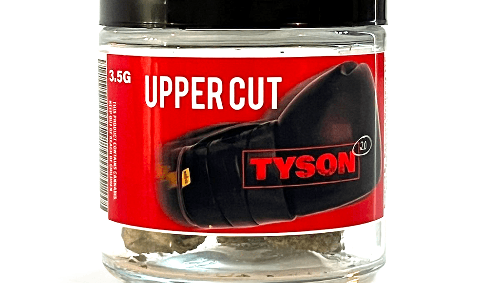 Celebrity Vapes: Fame Meets Flavor